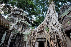 7Angkor Wat tour - 1 Tag