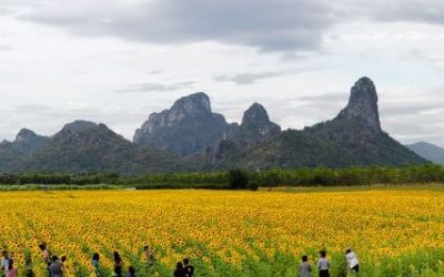 Ausflug in die Landschaft von Bangkok