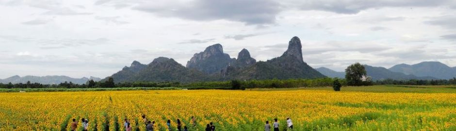 Ausflug in die Landschaft von Bangkok