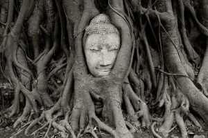 Ayutthaya Tempel