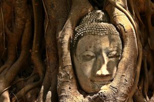 Buddha in Ayutthaya