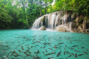 Erawan Wasserfall Kanchanaburi