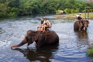 Kanchanaburi Elefanten Trekking