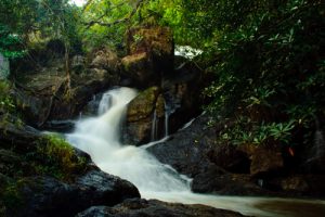 Khao Yai Nationalpark