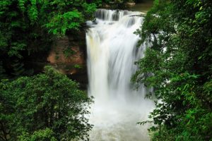 Khao Yai Nationalpark