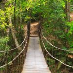 Khao Yai Nationalpark