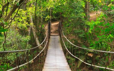 Khao Yai Nationalpark