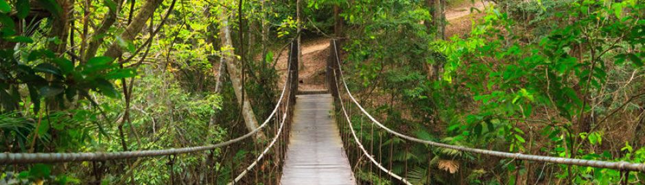 Khao Yai Nationalpark