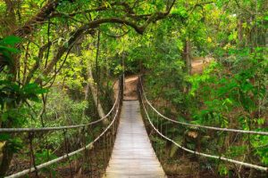 Khao Yai Nationalpark