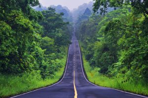 Khao Yai Nationalpark