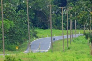 Khao Yai Nationalpark