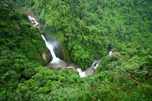 Khao Yai Nationalpark