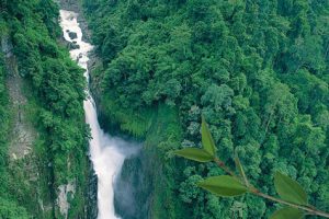 Khao Yai Nationalpark