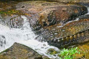 Phnom Kulen